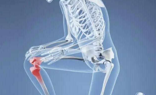 膝关节骨性关节炎关节腔内注射富血小板血浆 与臭氧 ＋ 玻璃酸钠的临床对比研究
